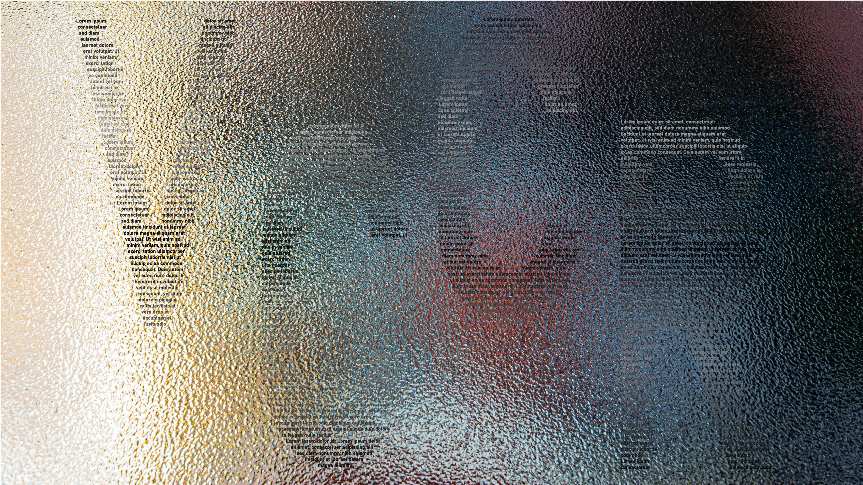 Description of image 1